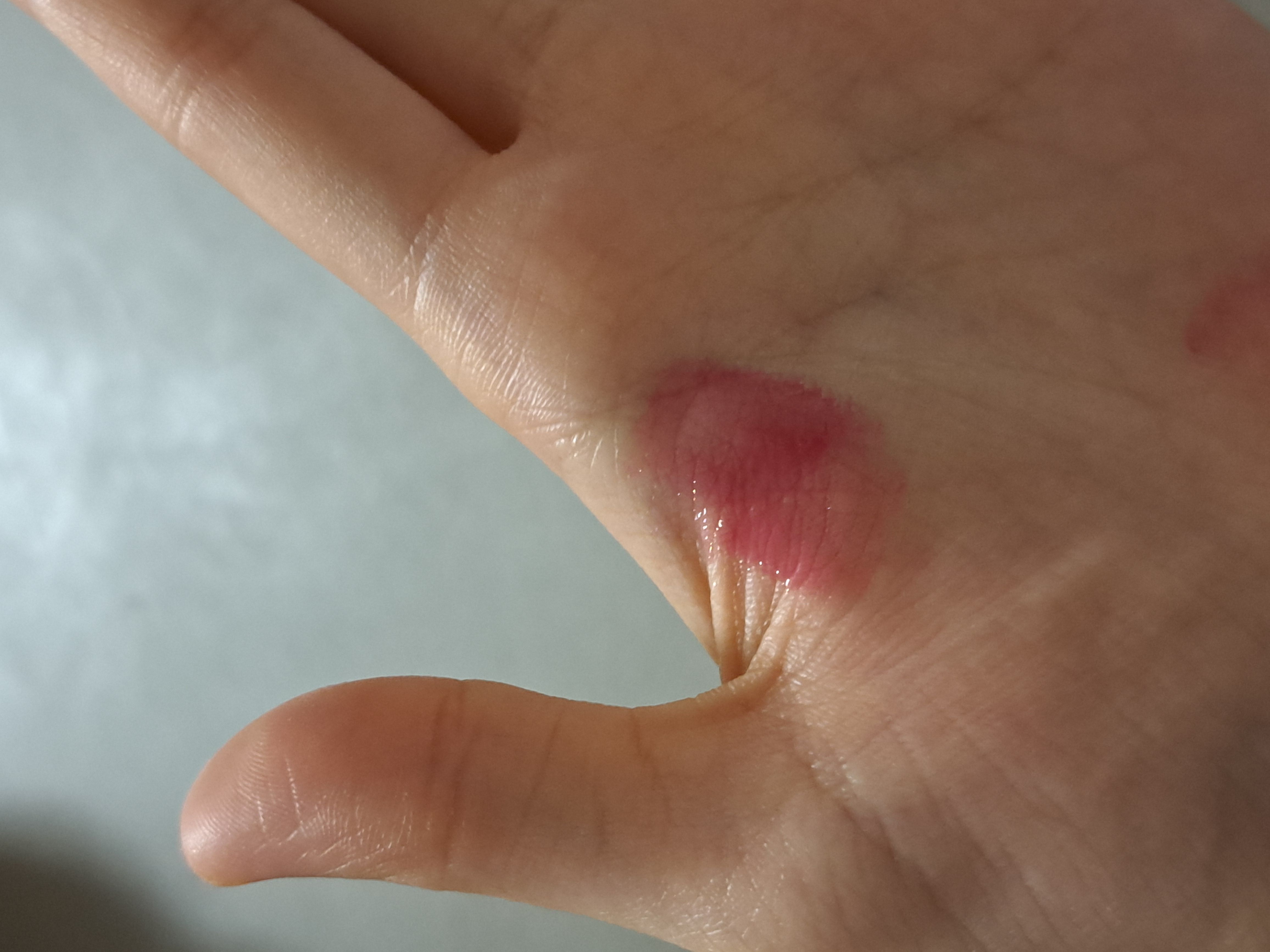 Dasique 棒棒糖果水光豐潤唇膏筆 真實評價/實測照片 byy**g 1