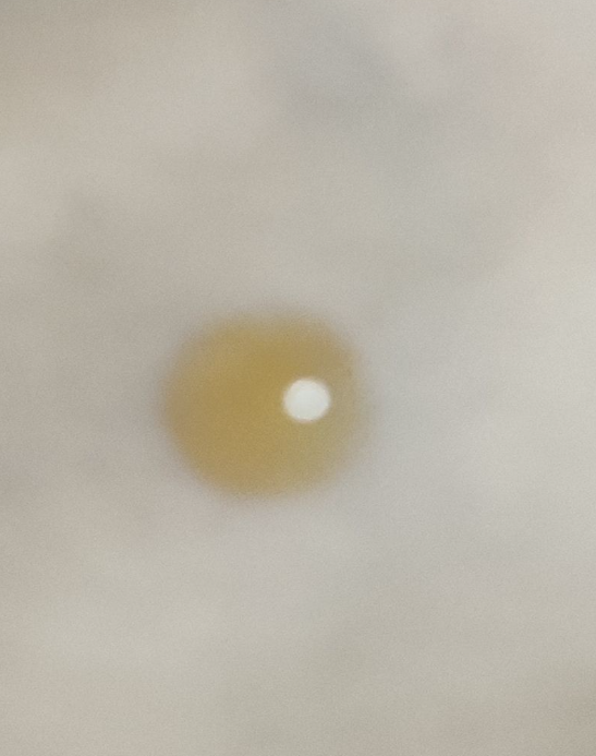 The Ordinary 咖啡因眼部去腫去黑色素精華 真實評價/實測照片 by 1