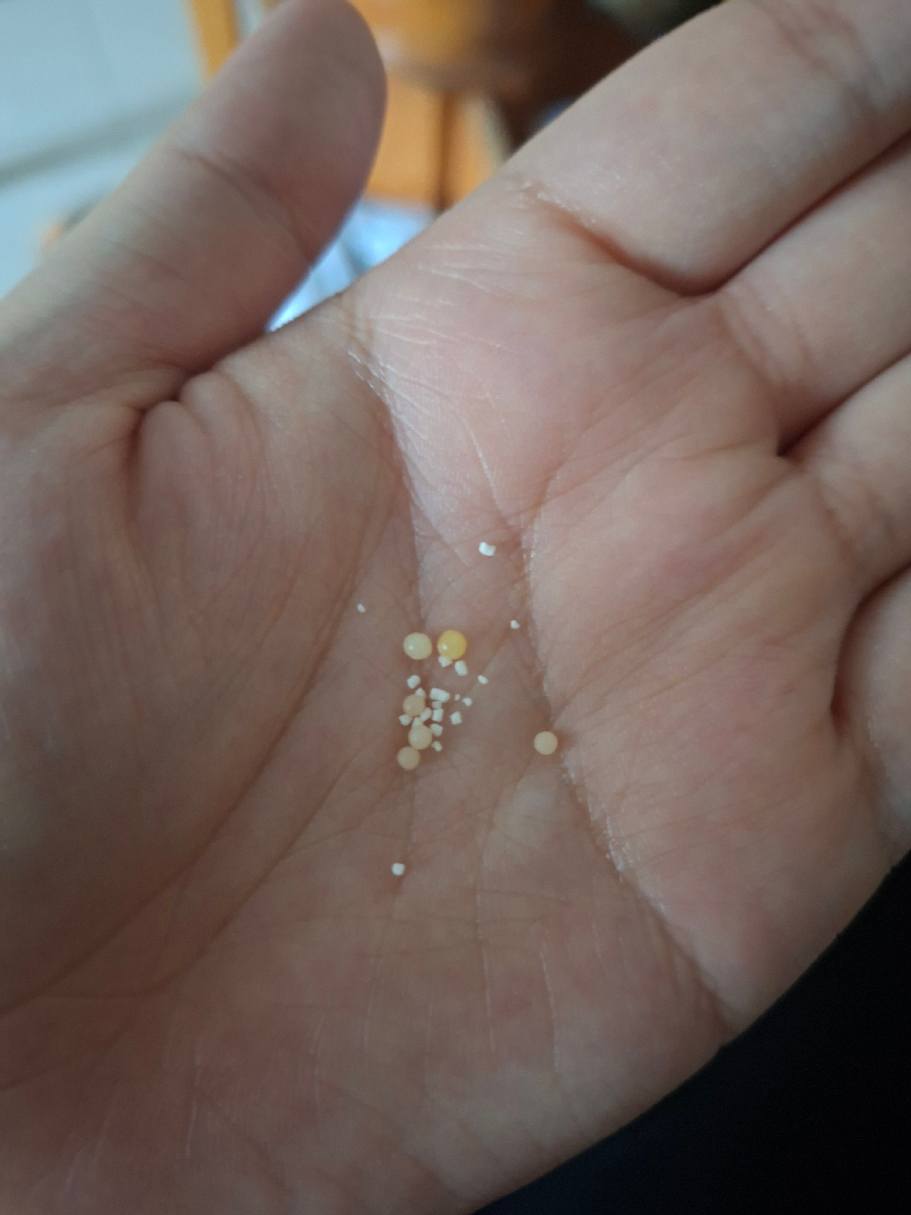 森下仁丹 美菲娜晶球益生菌 真實評價/實測照片 byC*n 1