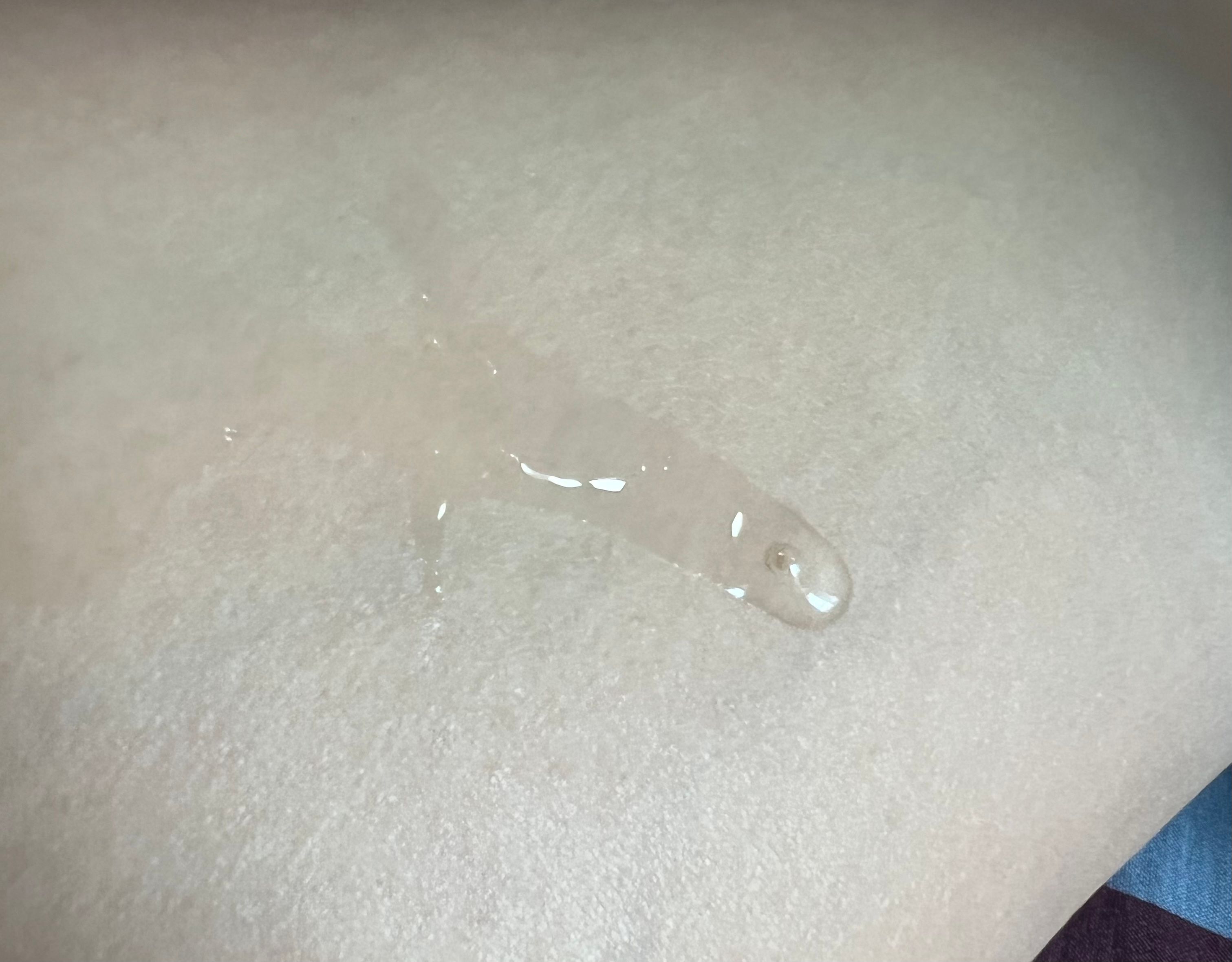 Bioderma 水活保濕精華肌底液 Hydrabio Essence Lotion 真實評價/實測照片 byrai*******************.hk 1