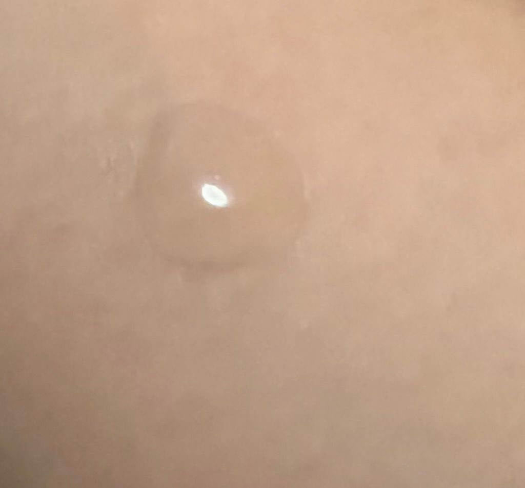 Yolu 夜間柔順修護洗髮露 真實評價/實測照片 bychi***ale 1