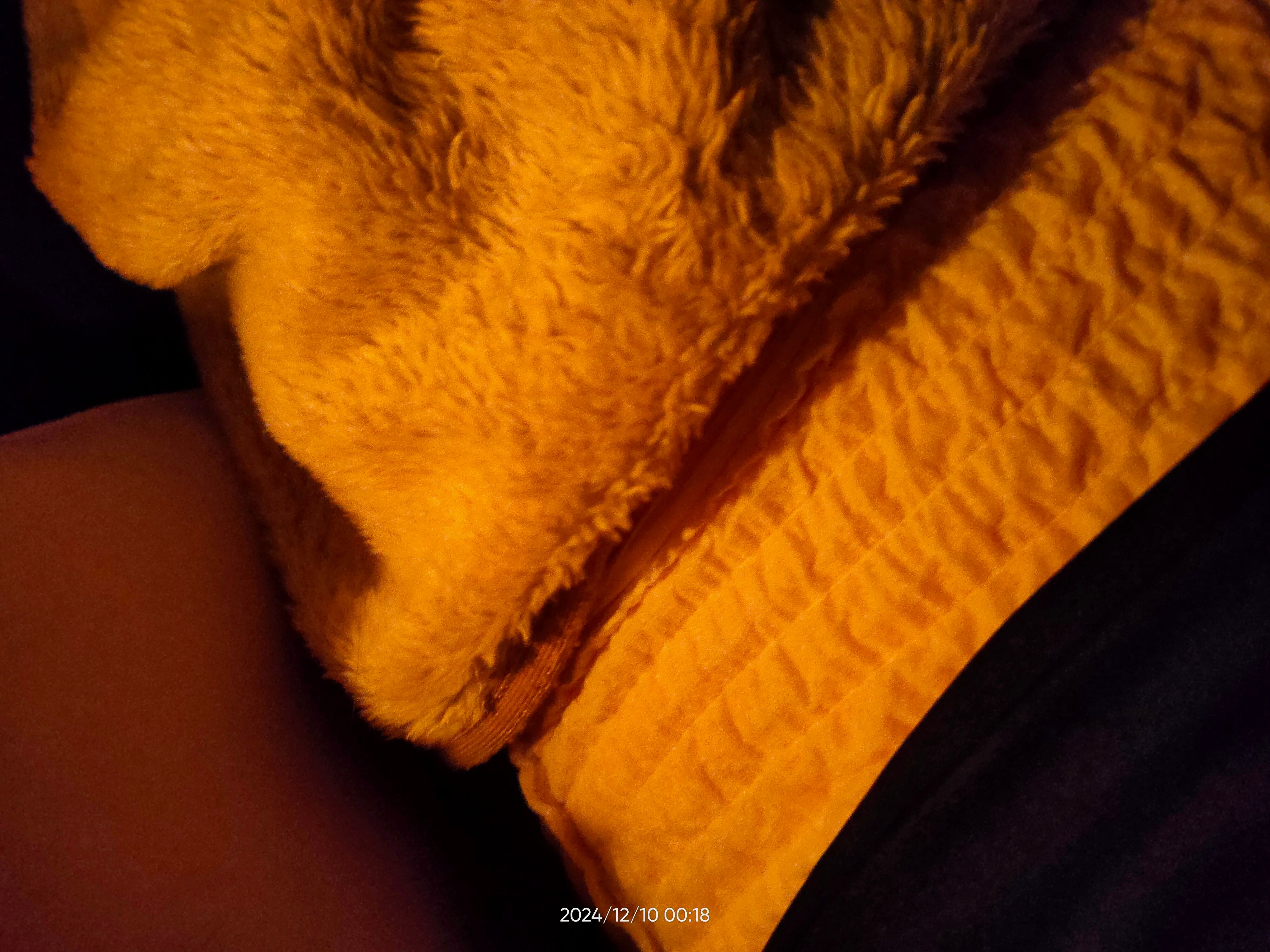 Whisper 護舒寶 熊抱安睡褲 真實評價/用後感 bycha*******************com 1 Whisper 護舒寶 熊抱安睡褲 真實評價/實測照片 bycha*******************com 1