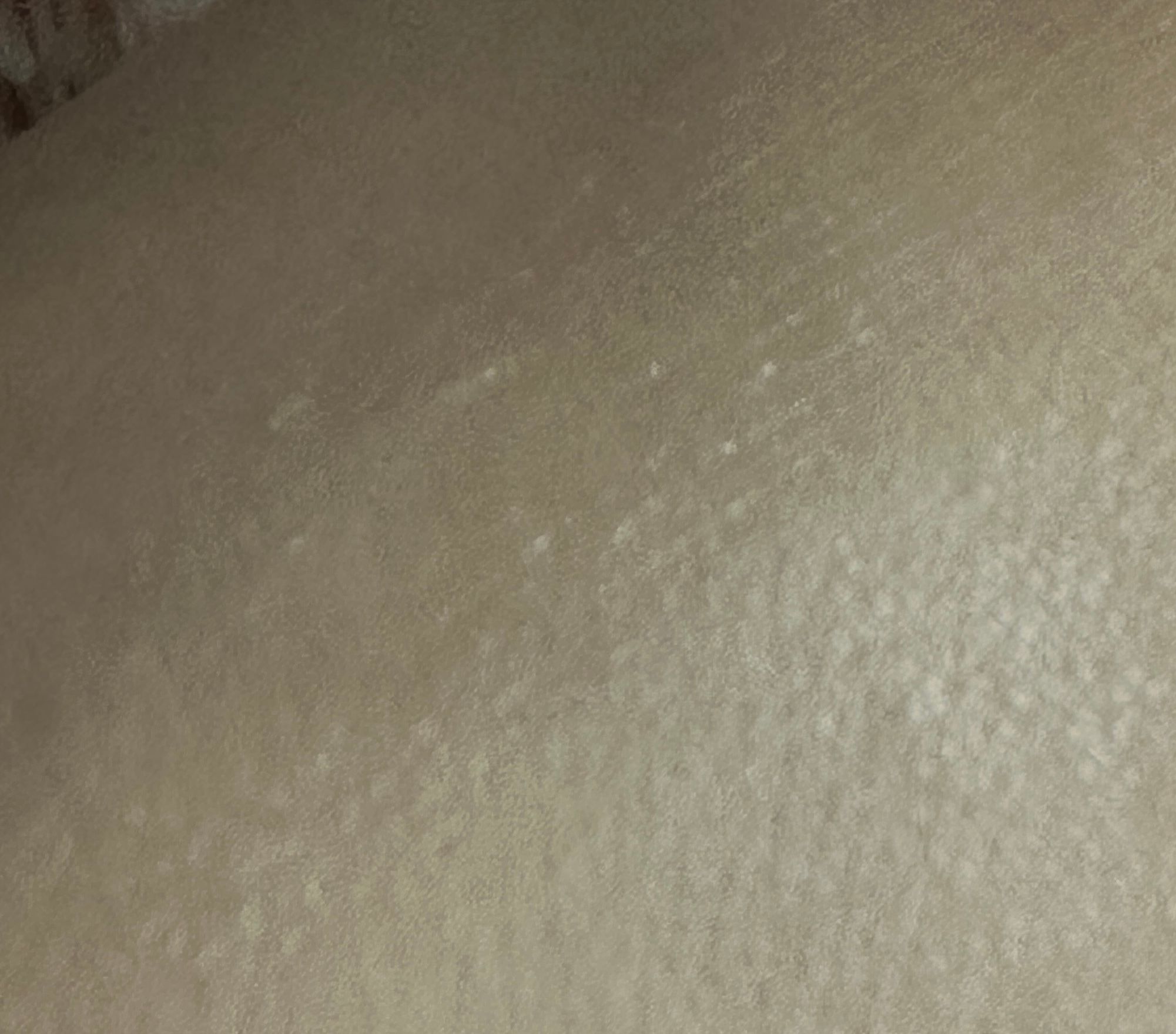 Curel 潤浸保濕護唇膏 真實評價/實測照片 byH* 1