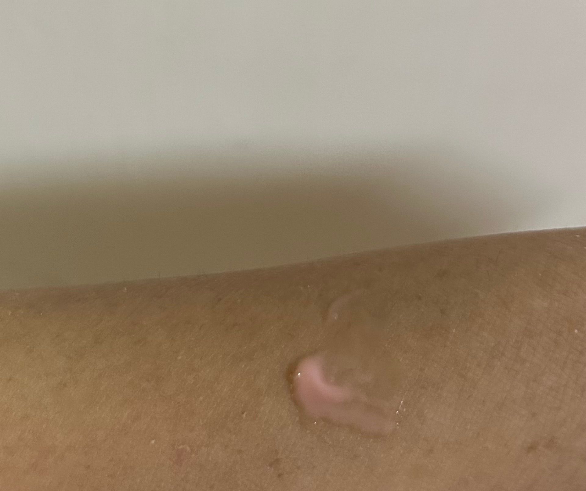 Laneige 水潤修護睡眠唇膜 真實評價/實測照片 byKa****15 1