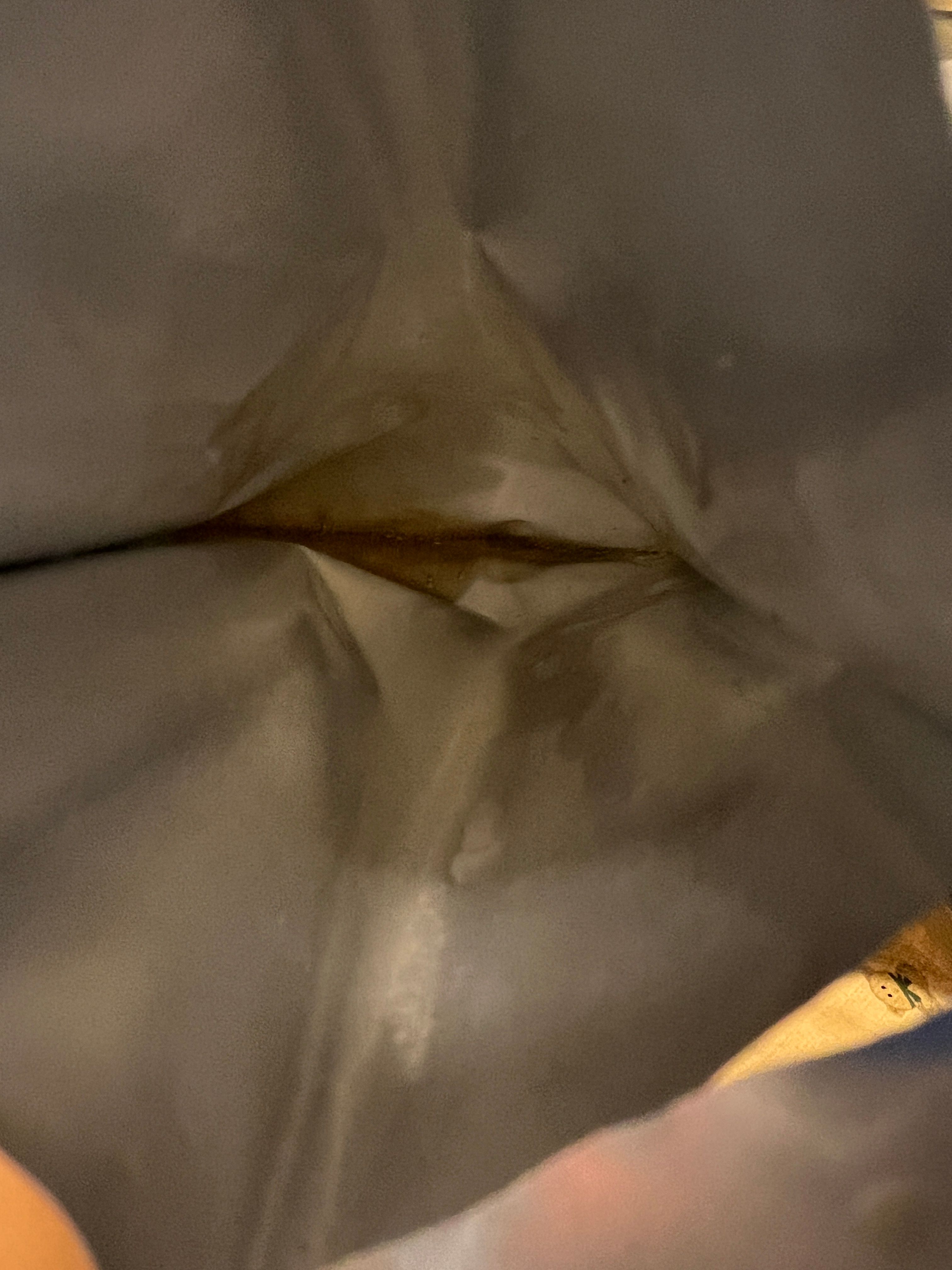 Halock 膜艷堂 藍光保濕鎖水面膜 真實評價/實測照片 bycha***tte 1