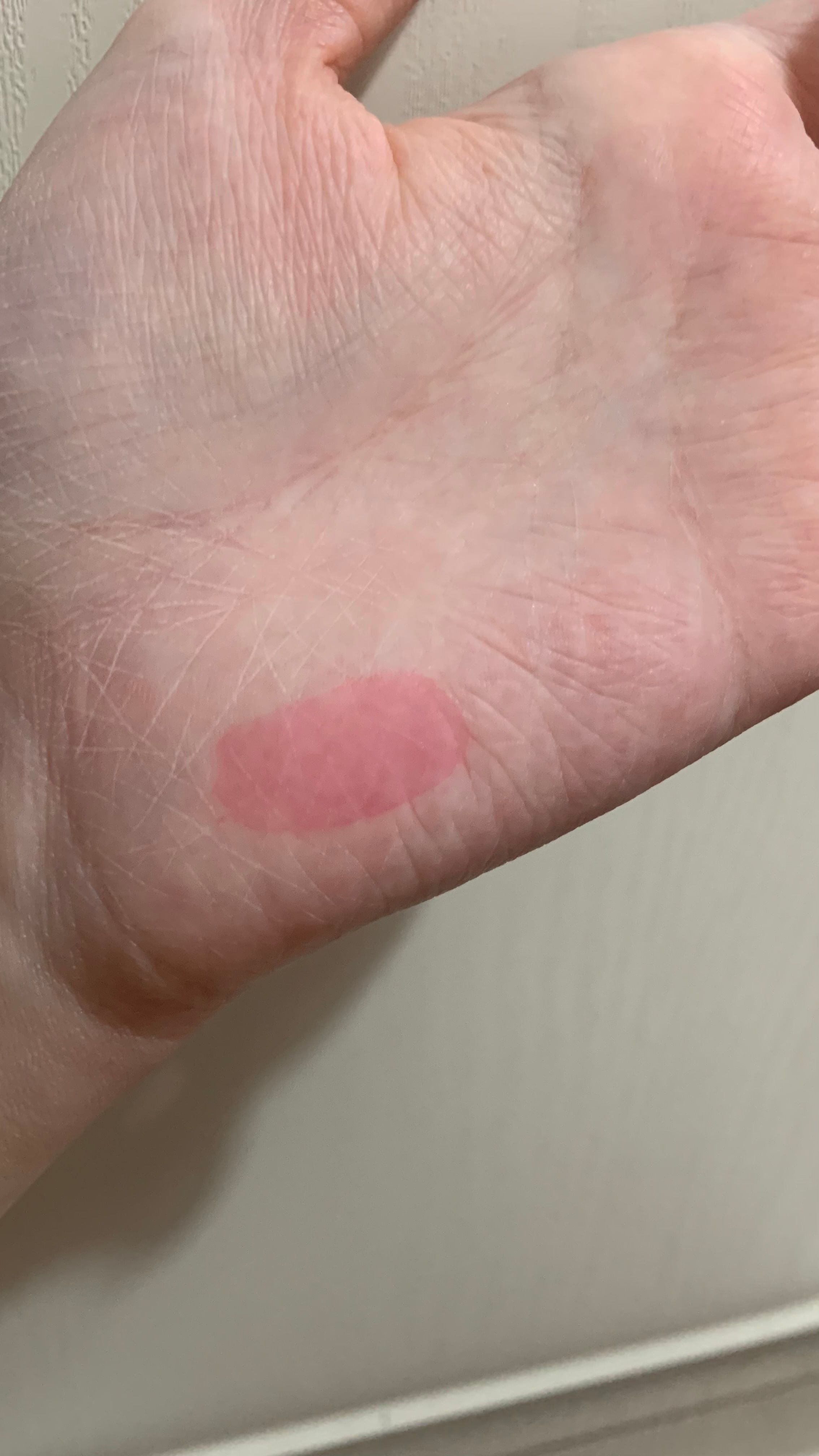 Benefit Cosmetics benetint 玫瑰胭脂水 真實評價/實測照片 bych**me 1