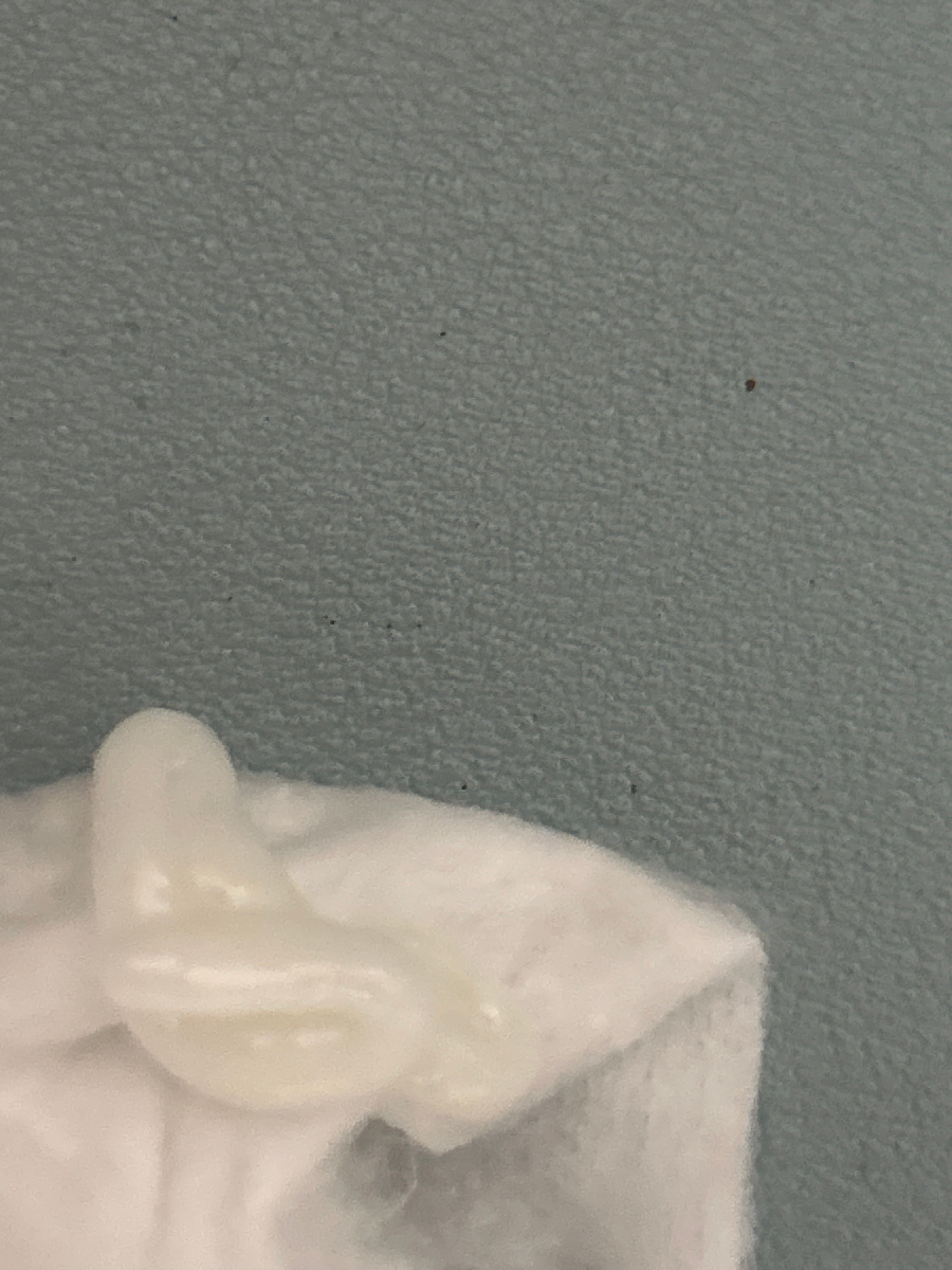 Drunk Elephant 電解質保濕水面膜 真實評價/實測照片 byP*a 1