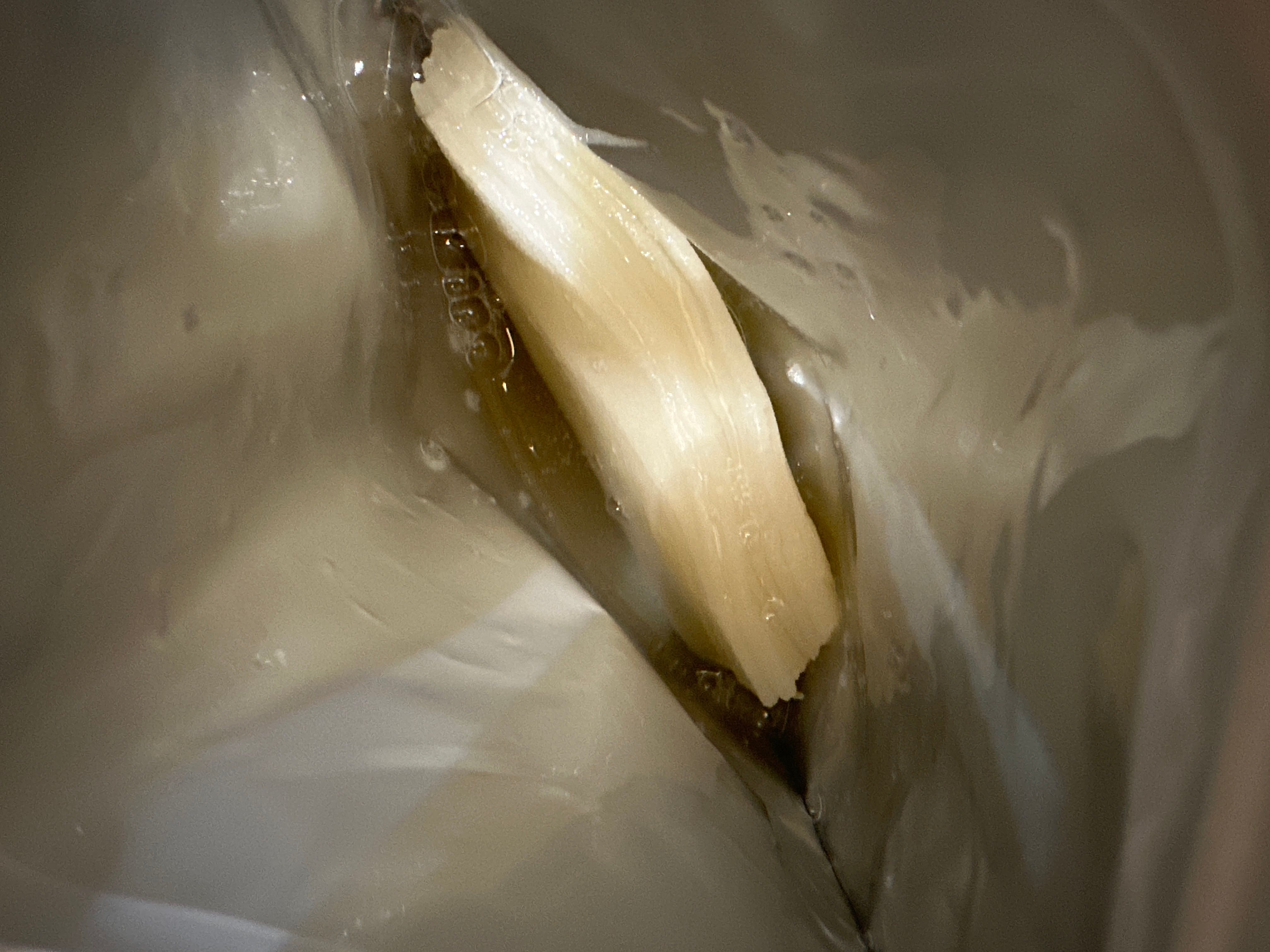 Quality First 超級茶樹100高滲透濃縮精華激光面膜 真實評價/實測照片 bycr***al 1