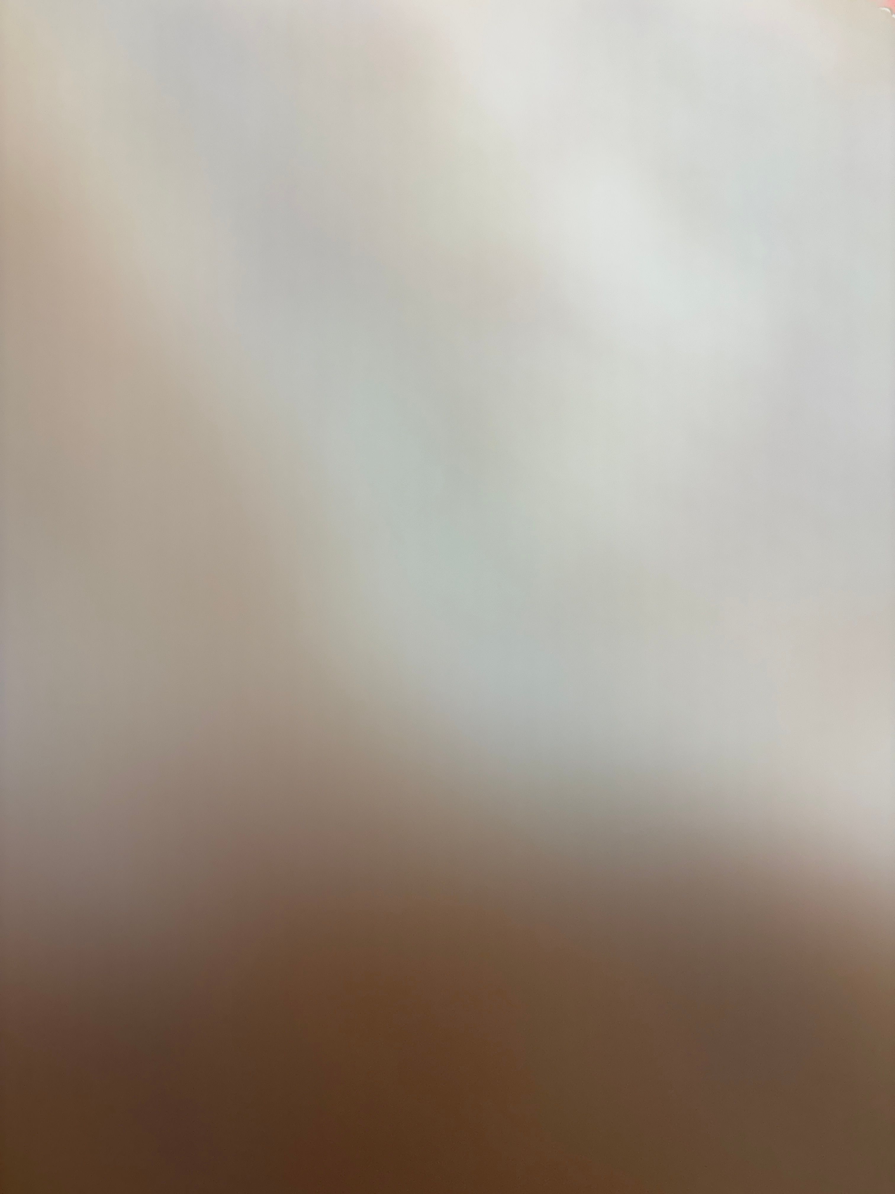 CLARINS 持久無瑕粉底液 Everlasting Foundation 真實評價/實測照片 byman****************com 1