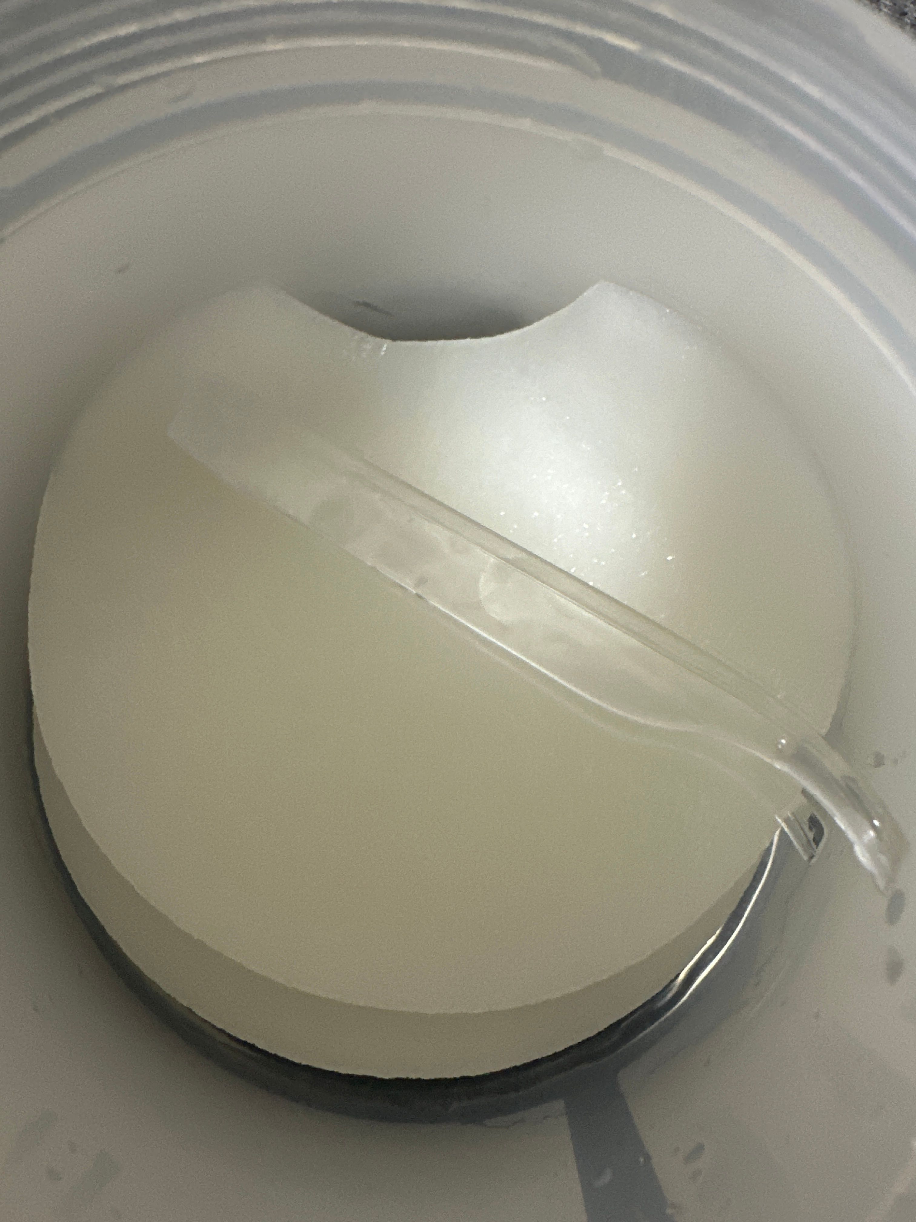 Round Lab 白樺樹水份爽膚棉片 真實評價/實測照片 bypep******************com 1