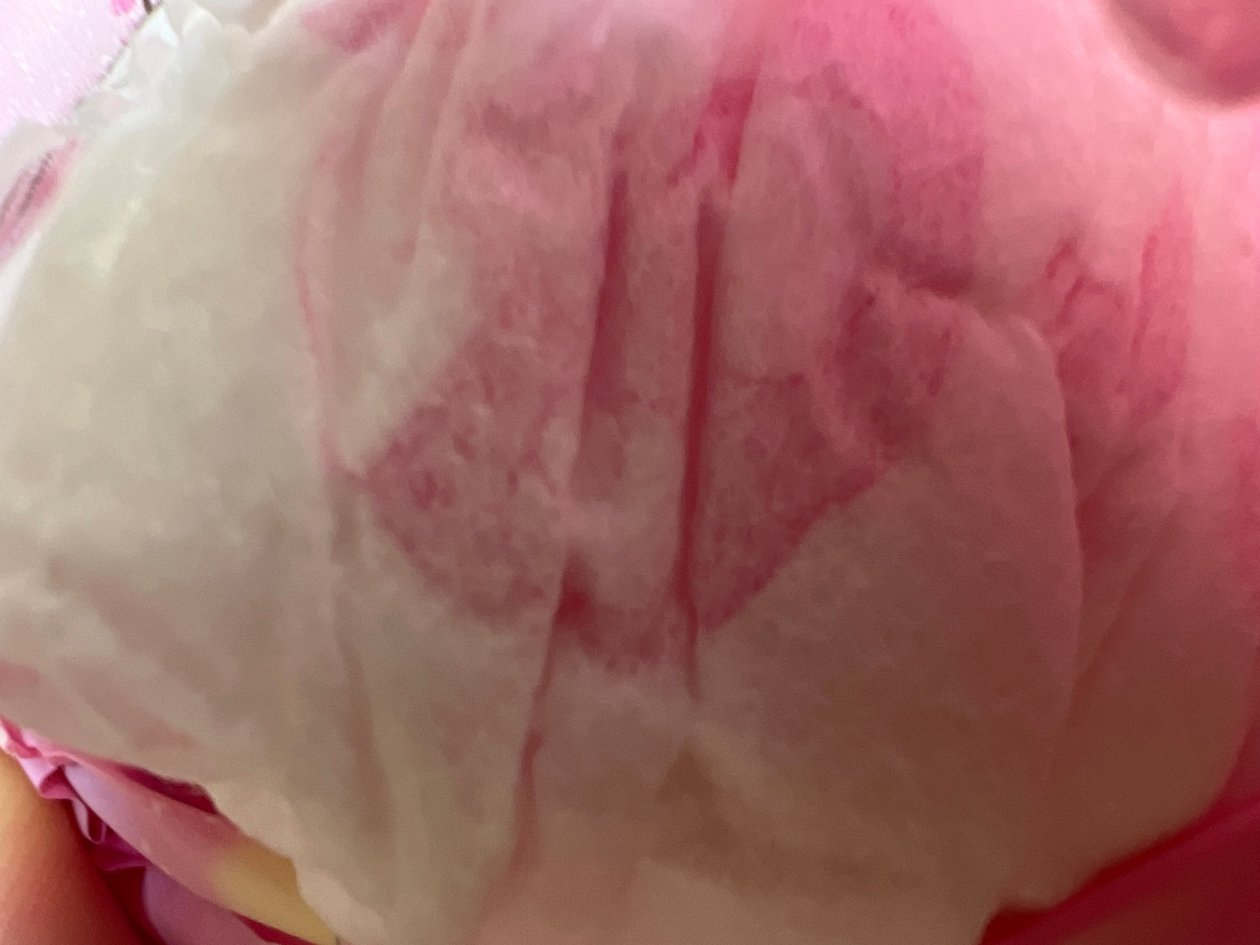 Kotex 高潔絲 極柔安心熟睡褲 真實評價/實測照片 byIn**ni 1