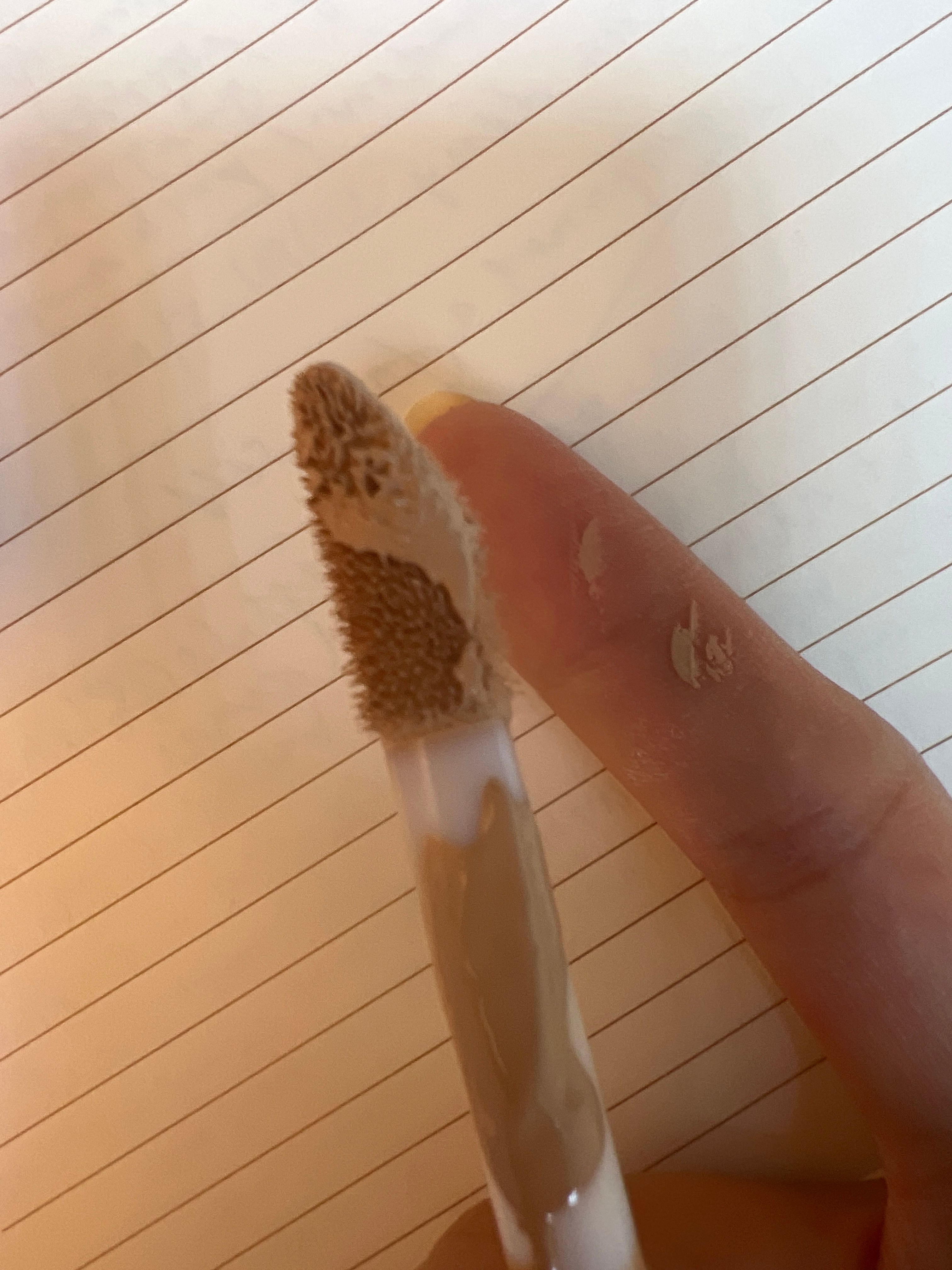 Tarte Shape Tape Concealer 真實評價/實測照片 bytt***12 1