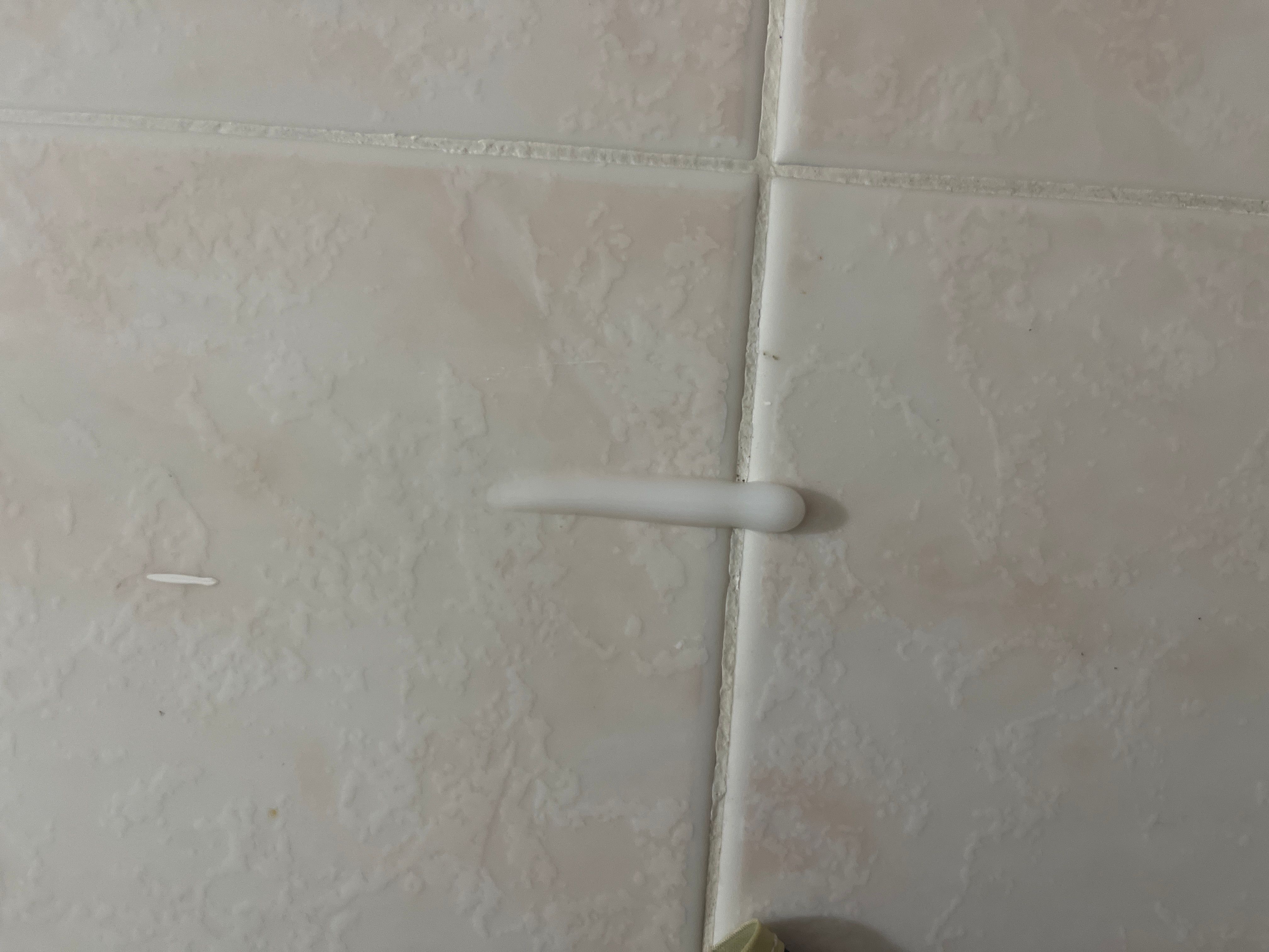 Dove 多芬 滋養柔膚沐浴乳 - 滋養柔嫩配方 真實評價/用後感 byGra***han 1 Dove 多芬 滋養柔膚沐浴乳 - 滋養柔嫩配方 真實評價/實測照片 byGra***han 1