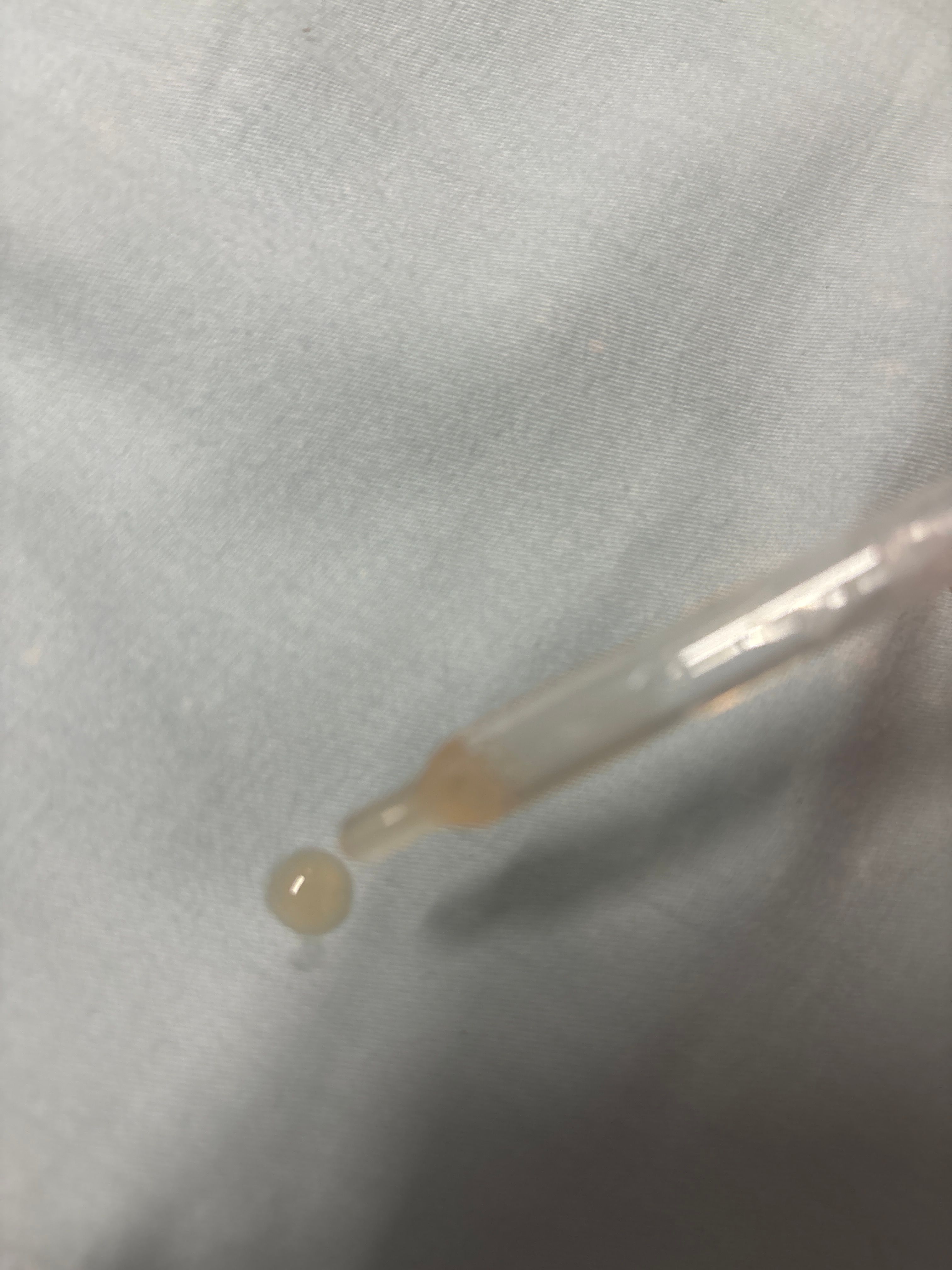 ESTÉE LAUDER 升級再生基因修復精華（小棕瓶） 真實評價/實測照片 bychi****************com 1