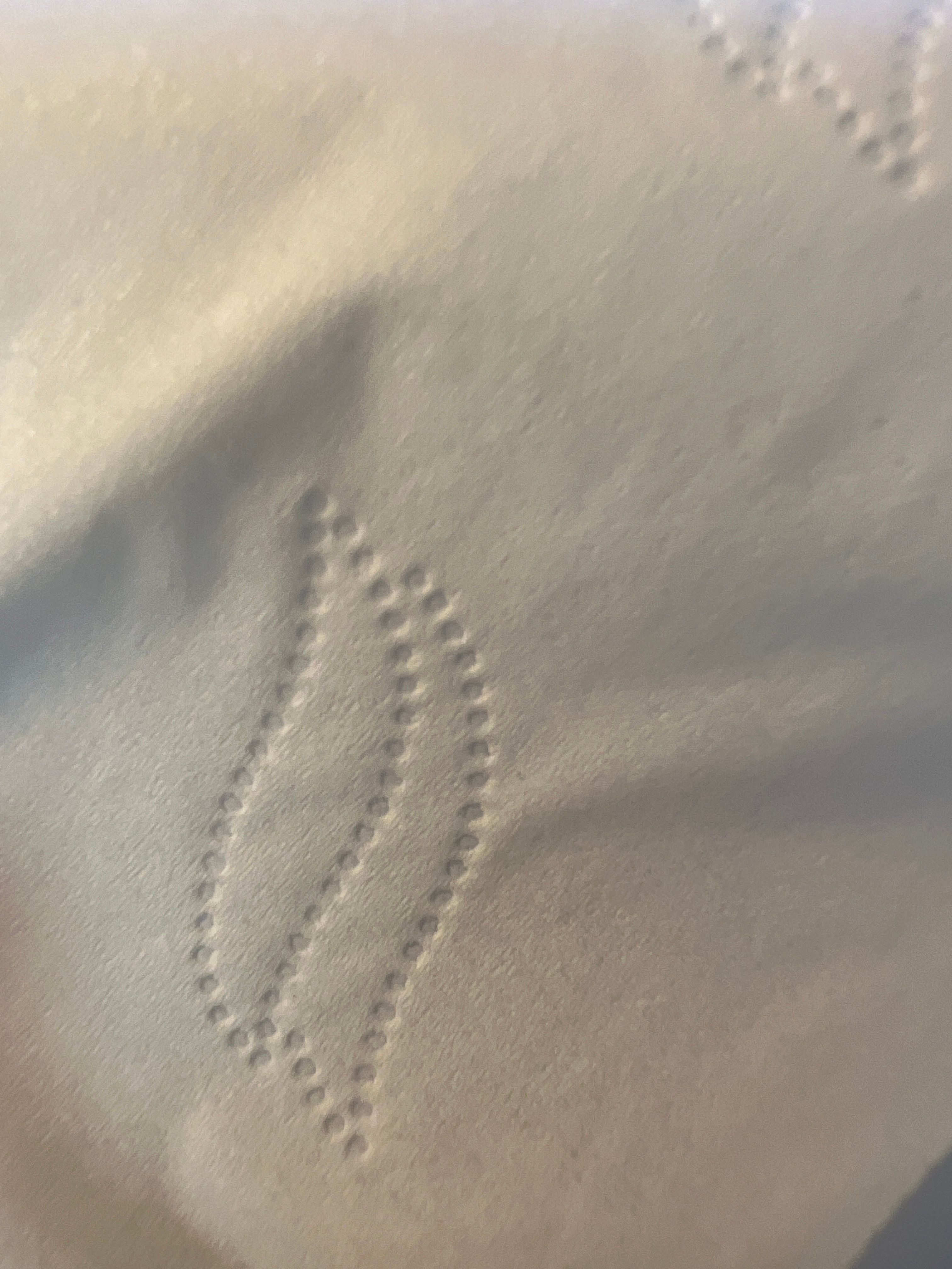 Hermès 愛馬仕 Un Jardin Sur Le Nil Eau de Toilette 真實評價/用後感 bye*f 1 Hermès 愛馬仕 Un Jardin Sur Le Nil Eau de Toilette 真實評價/實測照片 bye*f 1