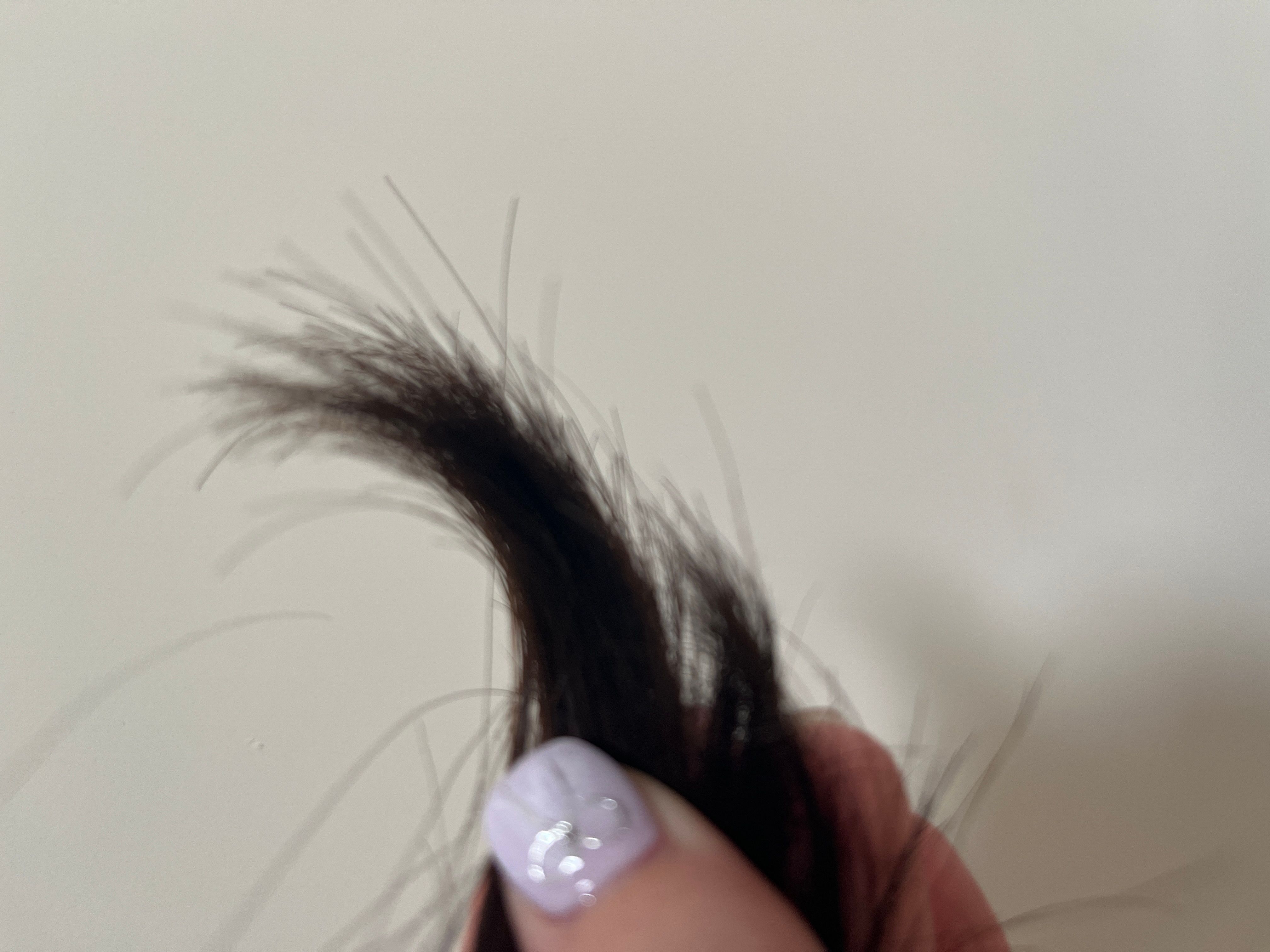 Dear Beauté HIMAWARI Oil in Conditioner (Rich& Repair) 真實評價/實測照片 byyac***************com 1